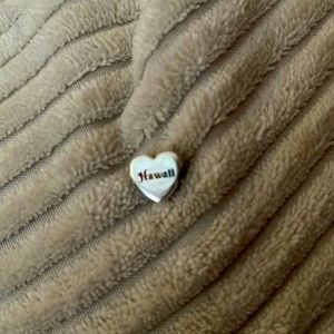 Hawaii pandora charm